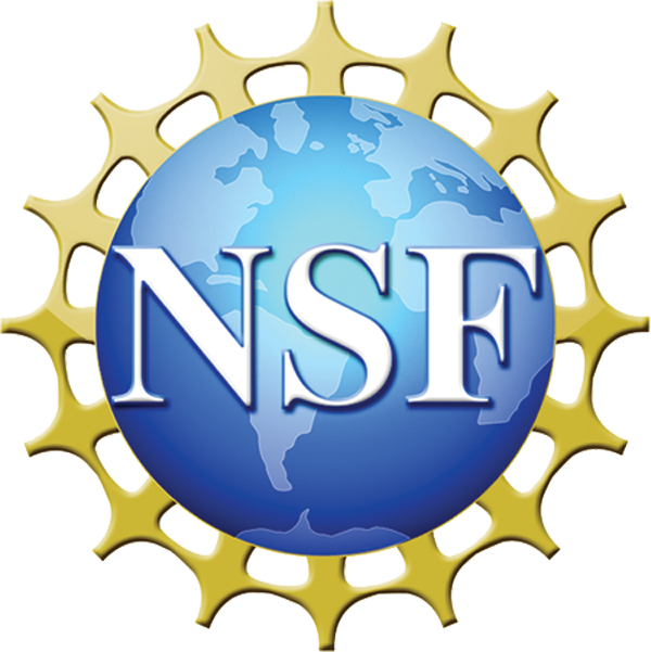 Nsflogotrans - National Science Foundation (600x601)