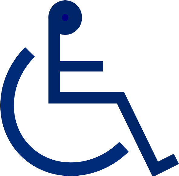 Handicap Logo Png (600x580)