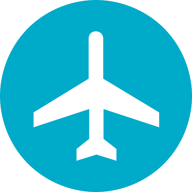 New, City, Signs, Symbols, Plane, Bull, Airport, York - Web Check In Logo Of Indigo (640x640)