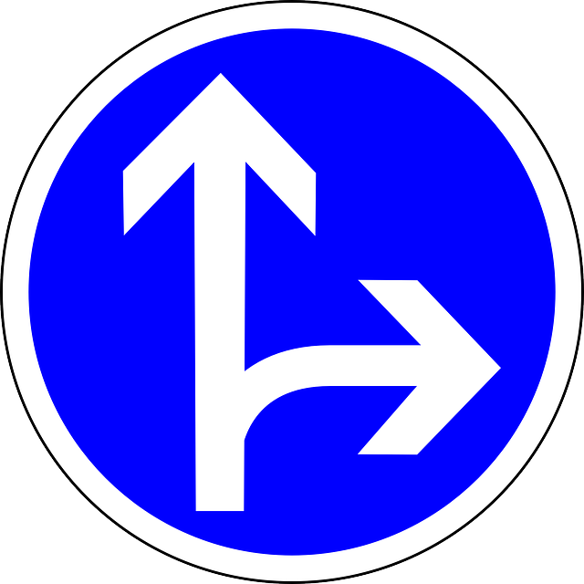 Traffic Sign, Sign, Go Straight Or Right, Straight - Traffic Signs Go Straight (640x640)