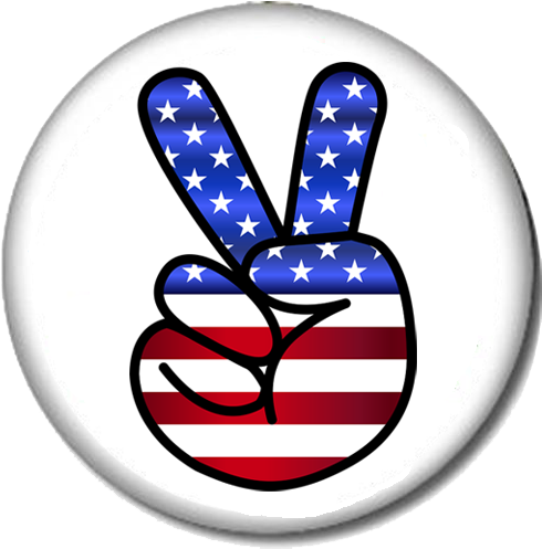 Cartoon American Flag (500x496)