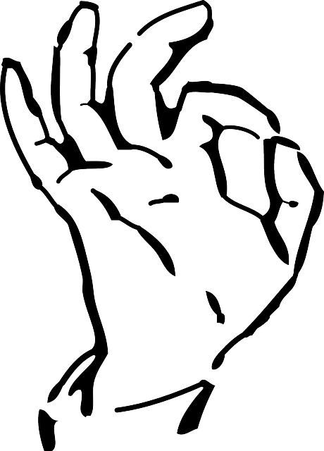 Sign, Symbol, Hand, Palm, Cartoon, Signs, Finger - Ok Hand Sign Transparent Background (460x640)