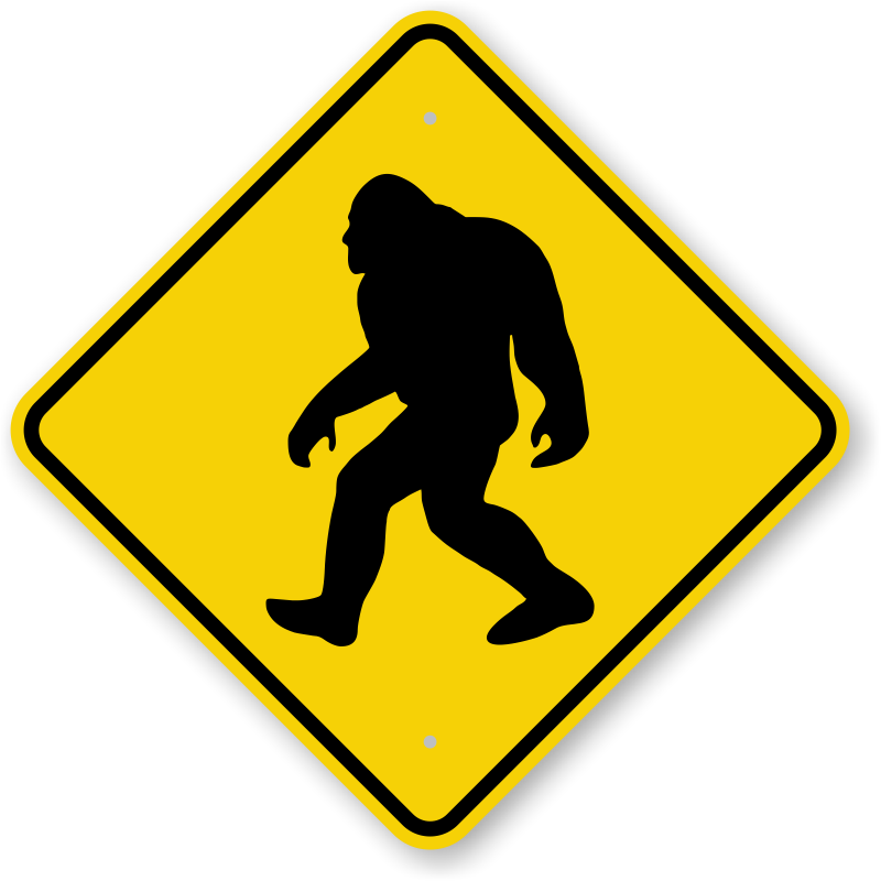 Zoom, Price, Buy - Winding Road Ahead Sign (800x800)