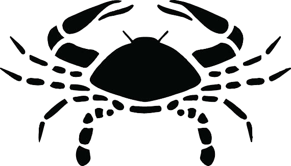 Cancer Zodiac Symbol Png Transparent - Cancer Png (570x326)
