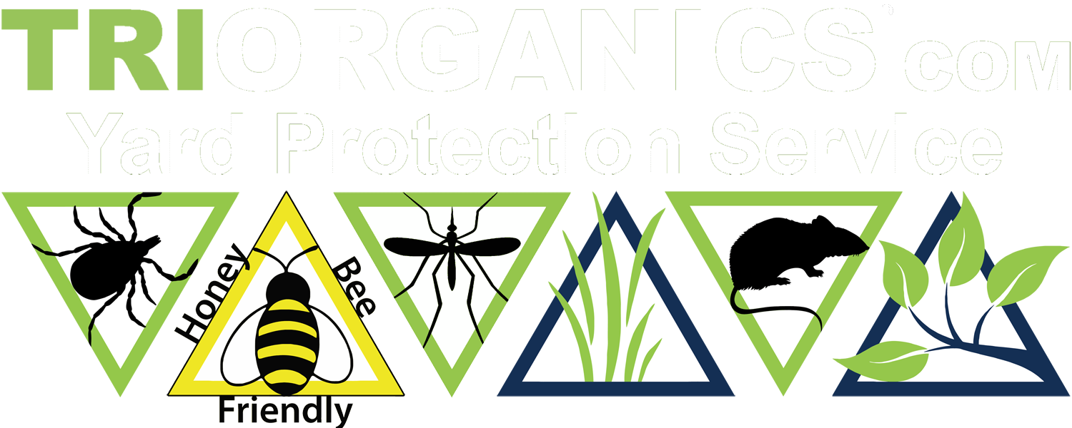 Tick Control & Mosquito Control - Bumble Bee Clip Art (1500x600)