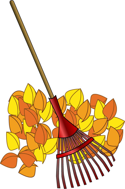 Seasonal Cleanup - Lawn (500x753)