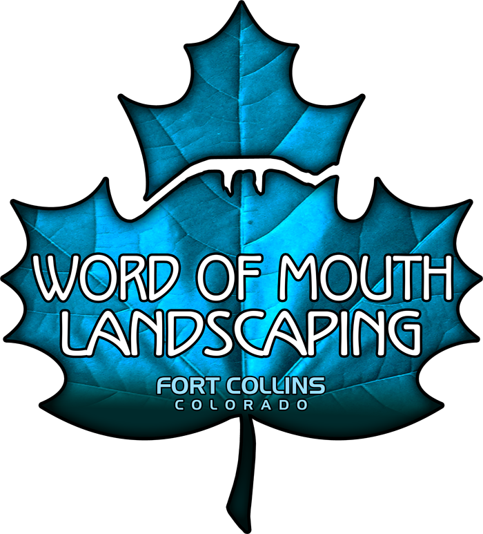 Word Of Mouth Landscaping Llc - Word Of Mouth Landscaping Llc (700x773)