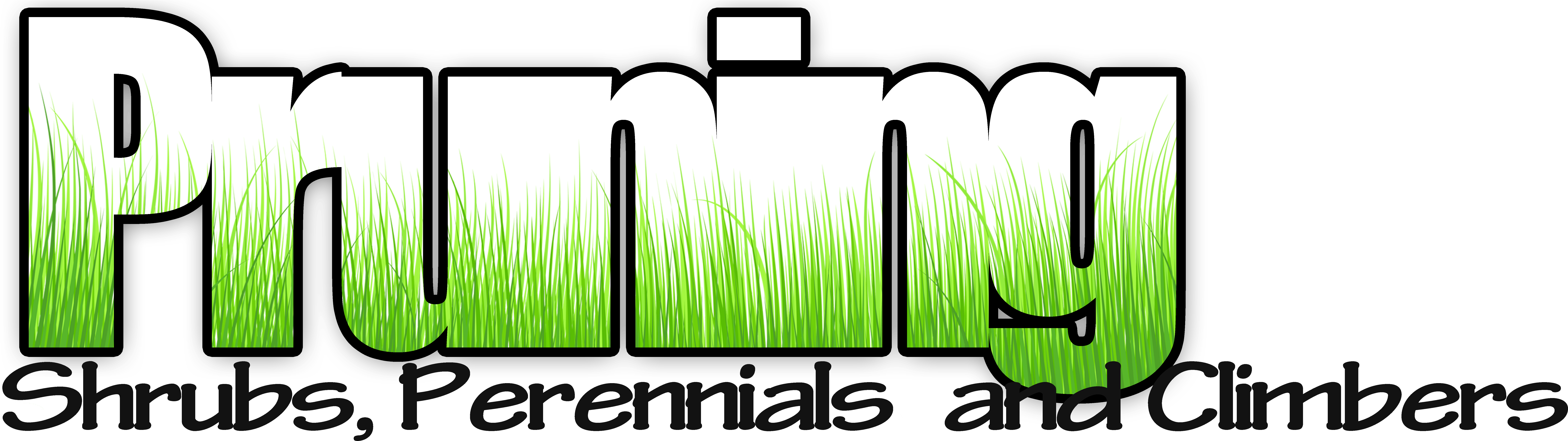 Pruning - Pruning (9504x2663)