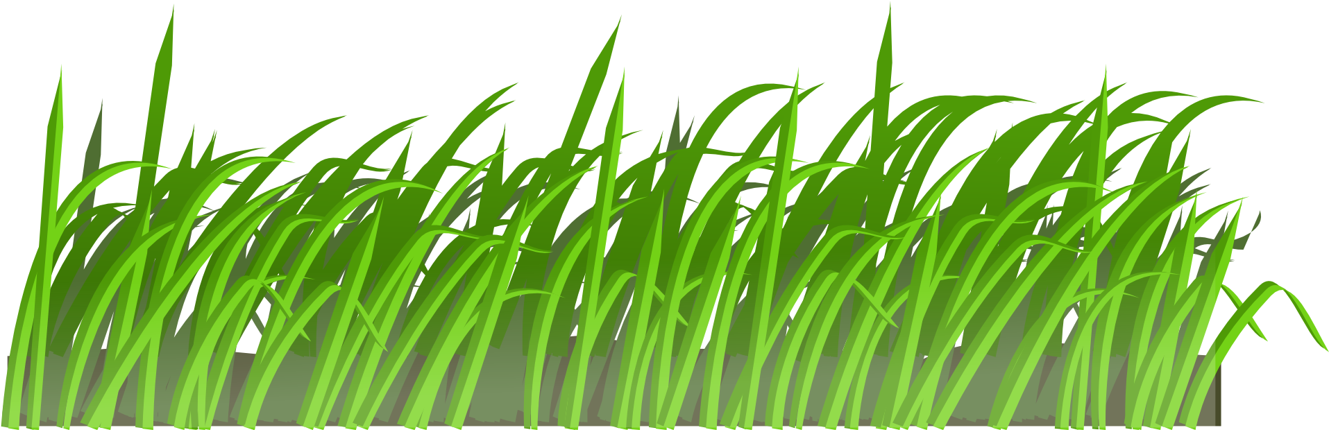Lawn Mower Cartoon Clip Art - Field Of Grass Shower Curtain (1920x960)