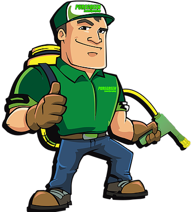 Athens,al Lawn Care ,puregreen Lawn Service Lawn Spraying - Spraying Weed Killer Clipart (383x415)