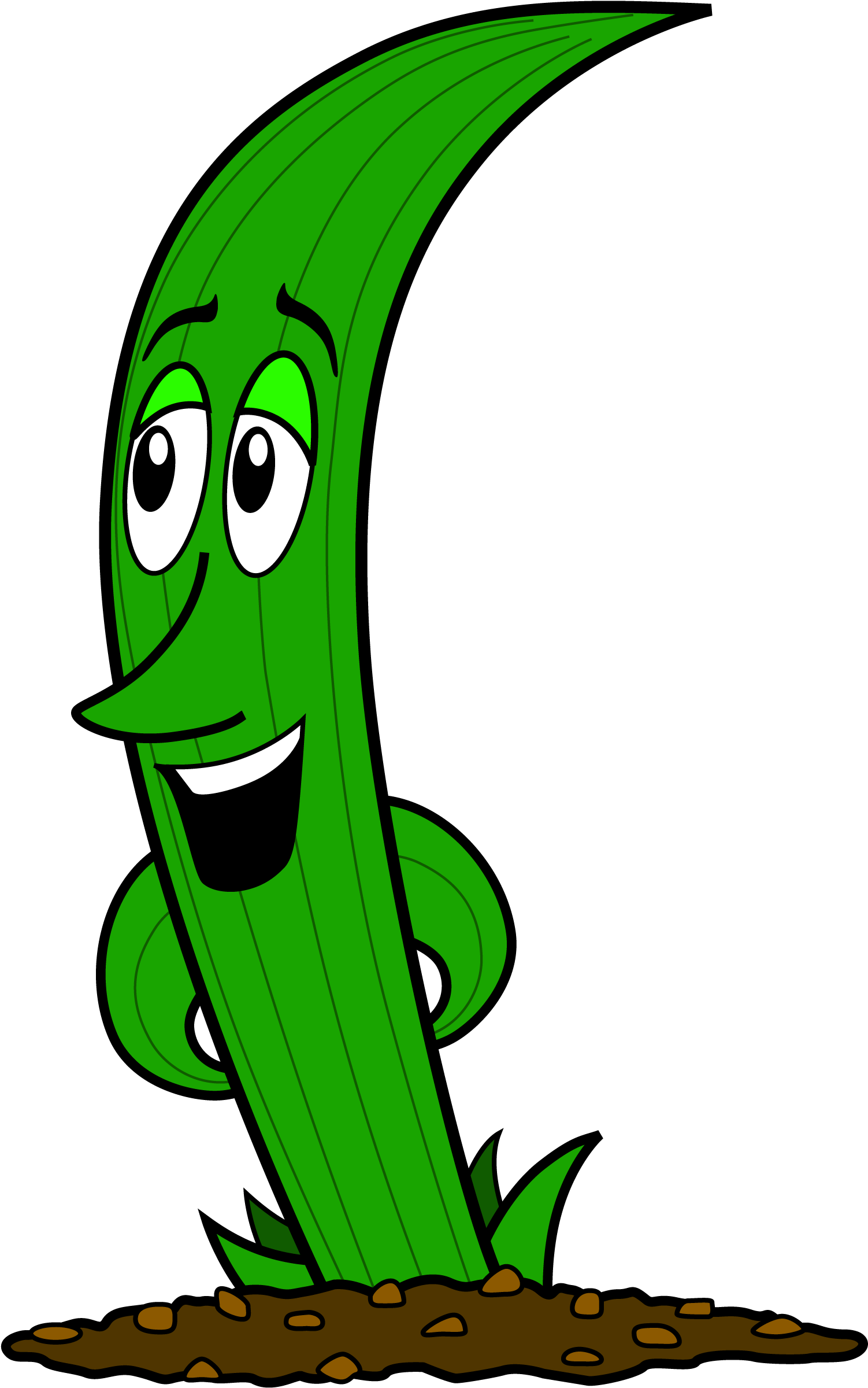 Fez Says - Fez (1580x2484)