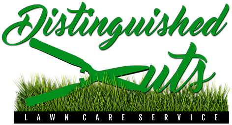 Your Home Deserves To Be - Grass (499x272)