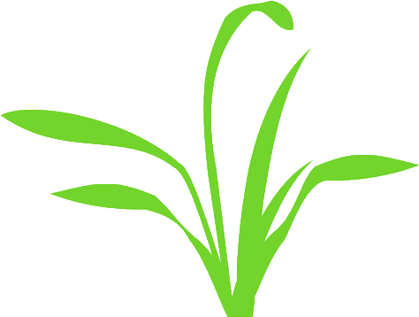 Fertilization And Weed Control - Fertilization And Weed Control (500x500)