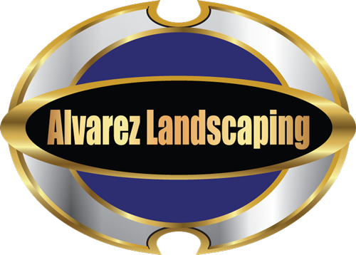 Alvarez Landscaping Llc - Mini Rugby (500x358)