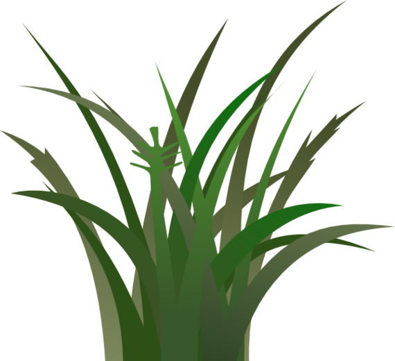 Grass Clipart Free Images 2 - Vegetation Clipart (570x520)