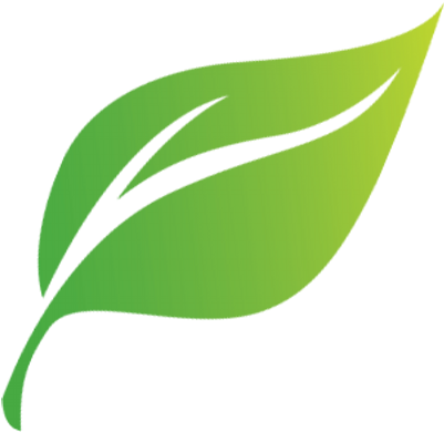 Leader Cartoon - Green Leaf Cartoon Png (400x400)