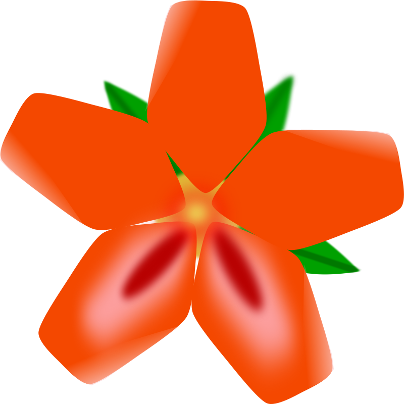 Get Notified Of Exclusive Freebies - Hawaiian Flowers Clip Art (800x800)
