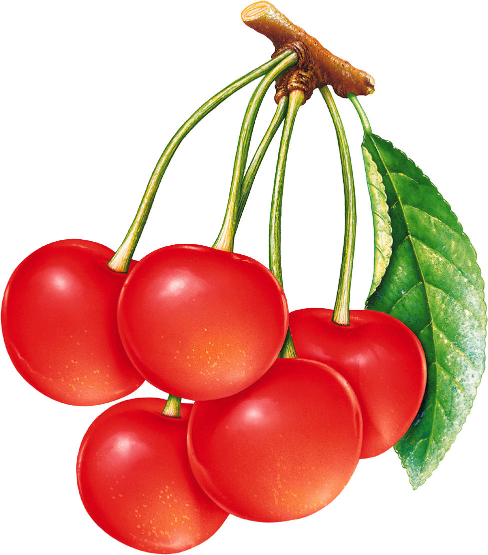 Mis Laminas Para Decoupage - Red Cherry - (1064x1144) Png Clipart Download