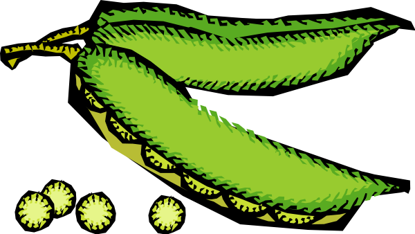 Vegetables 48 Png Images - Portable Network Graphics (600x338)