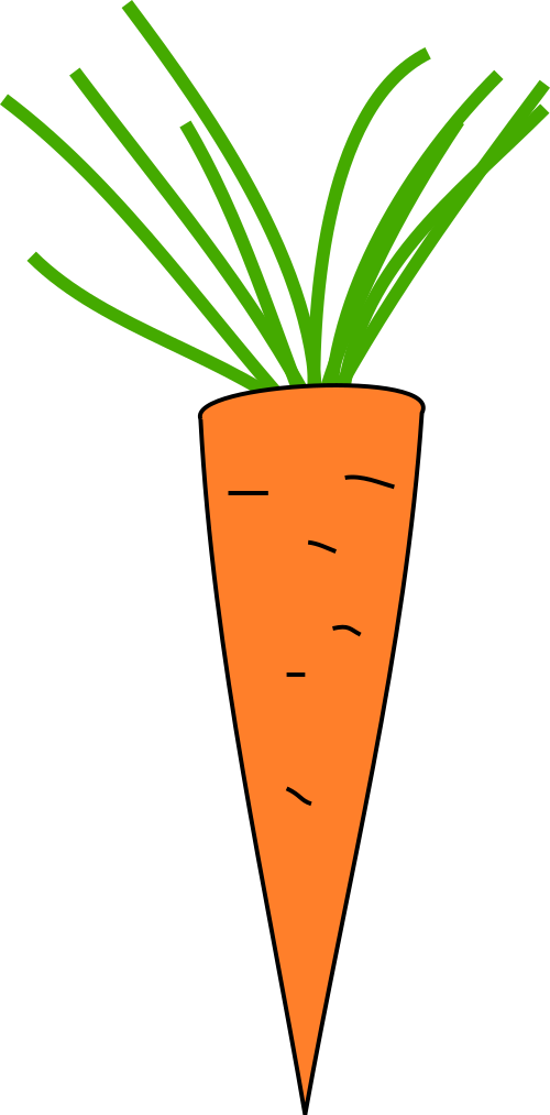 Carrot - Copyright Free Clipart Carrot (500x1013)