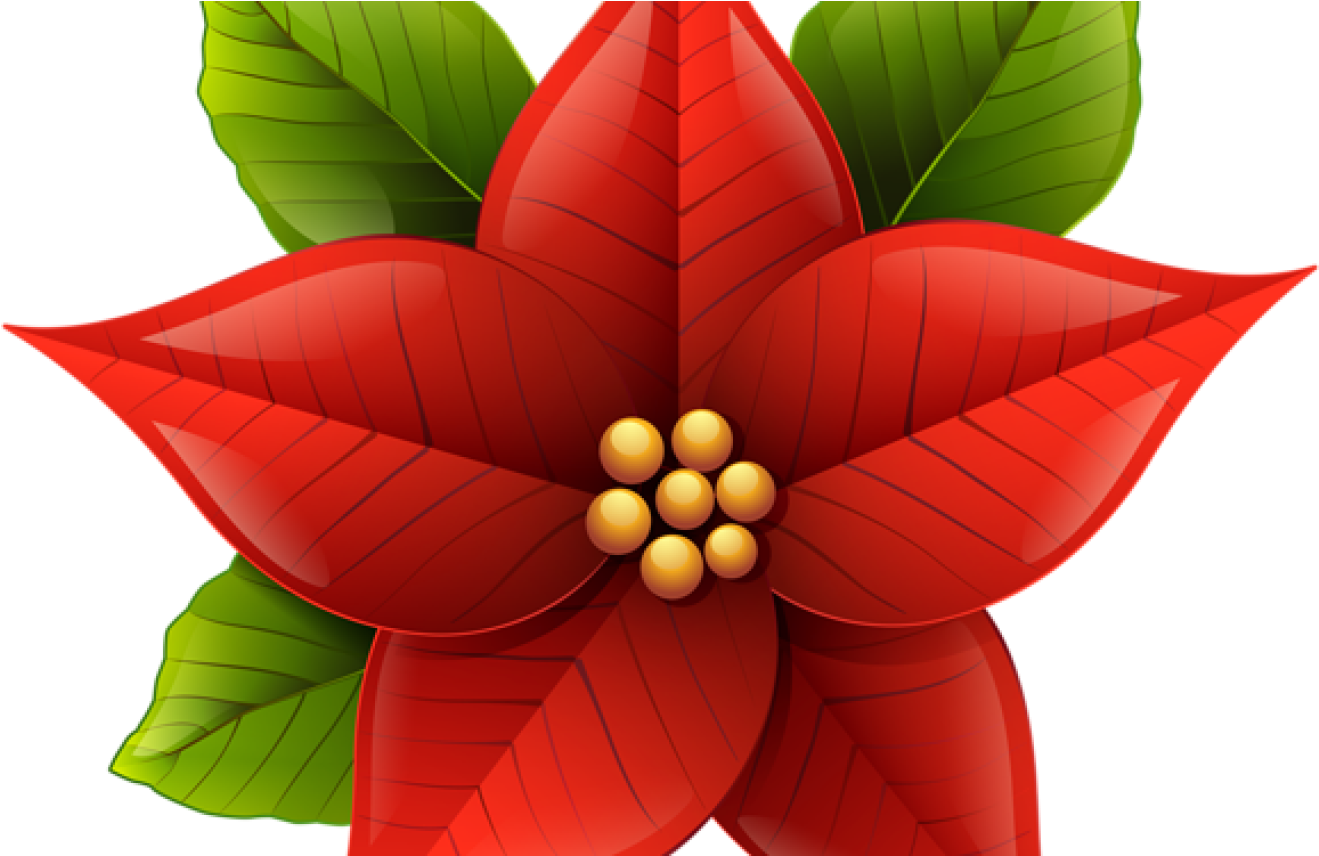 Poinsettia Christmas Clip Art Christmas Flowers 600*533 - Poinsettia Clipart (1368x855)