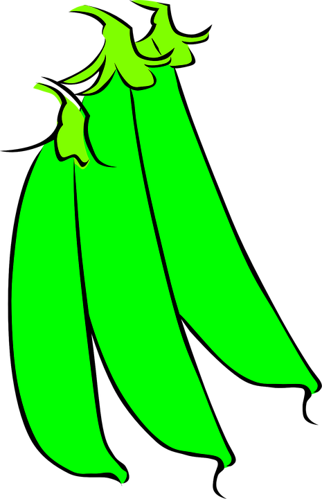 Pea Clipart Garden Vegetable - Sugar Snap Peas Clipart (827x1280)