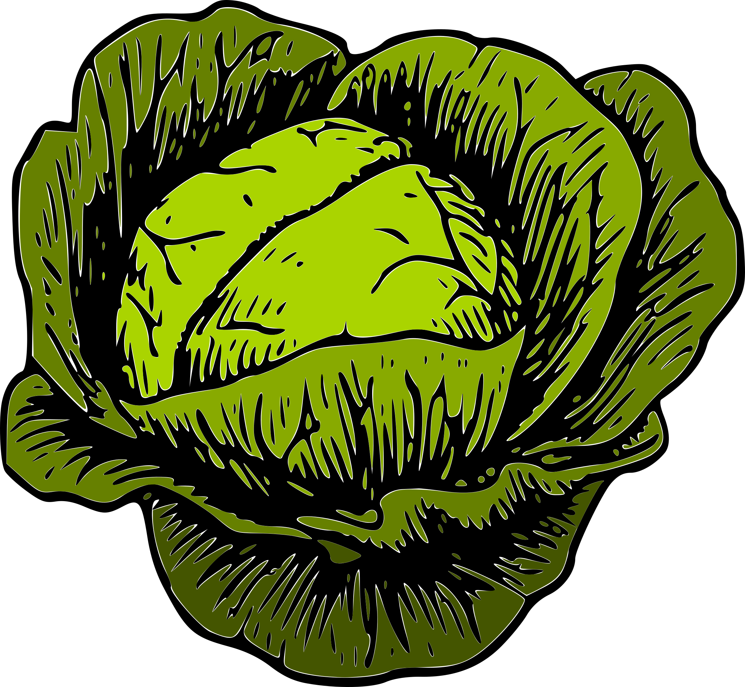 Clipart - Clipart Cabbage (2400x2214)