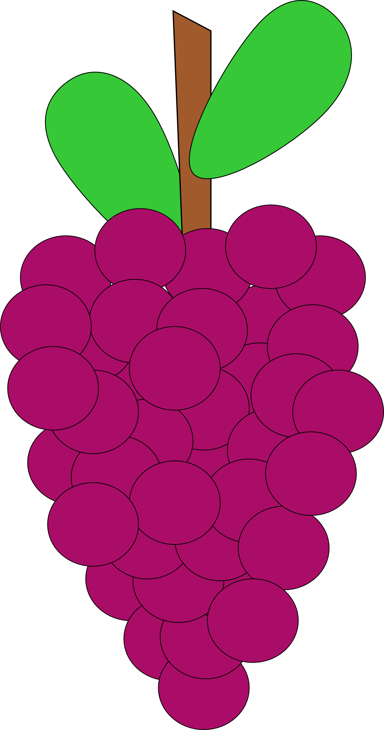 Grapes Clipart Grape Fruit Clip Art Downloadclipart - Animated Picture Of Grape (1331x2531)