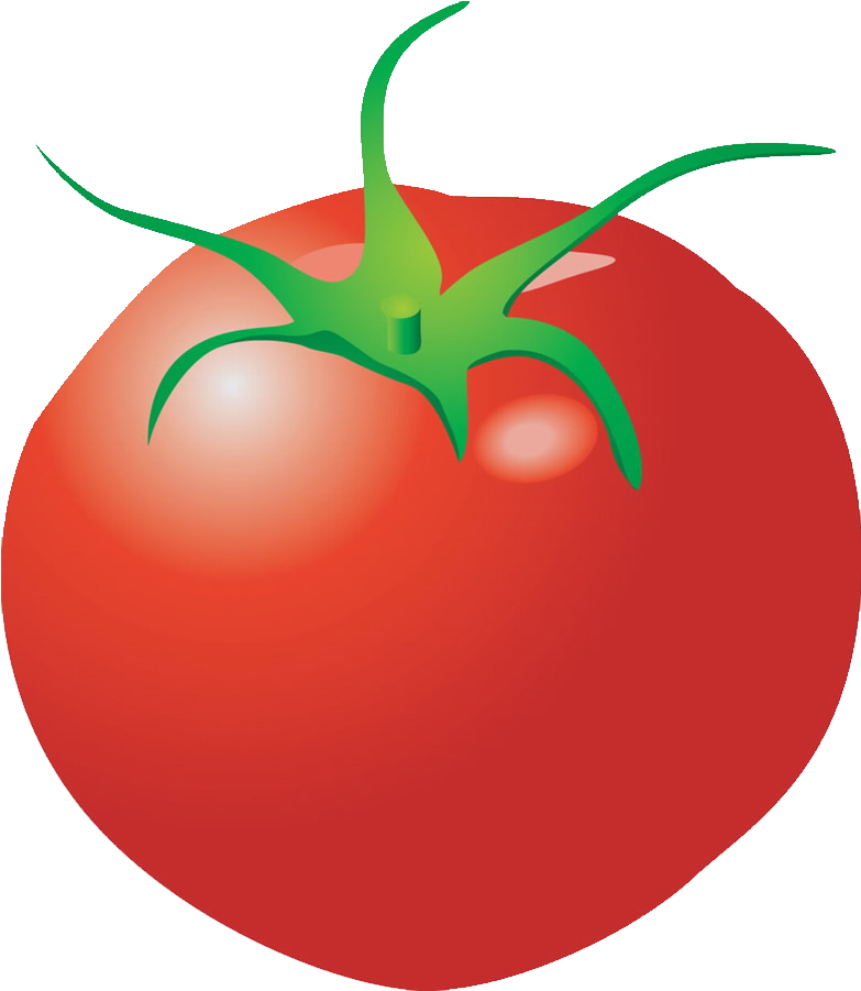 Plum Tomato Cartoon Clip Art - Plum Tomato Cartoon Clip Art (1024x1045)