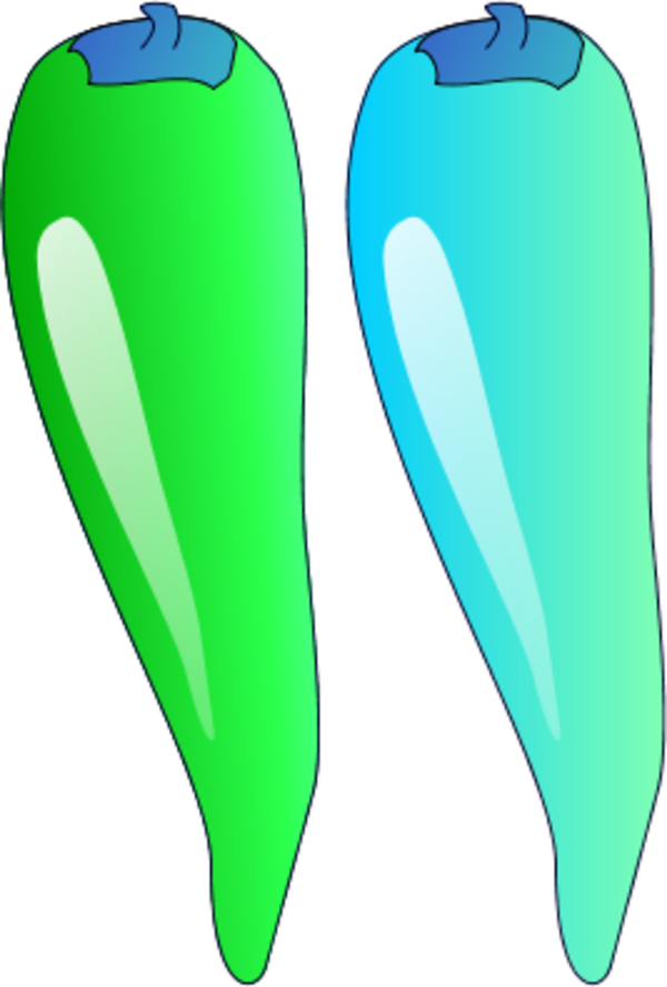 Vector Clip Art - Clip Art (600x888)