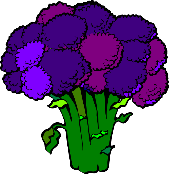 Broccoli Clip Art (582x598)