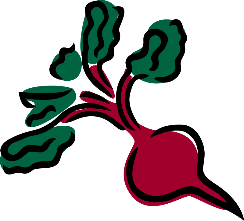 Clip Arts Related To - Beetroot Clipart (800x726)