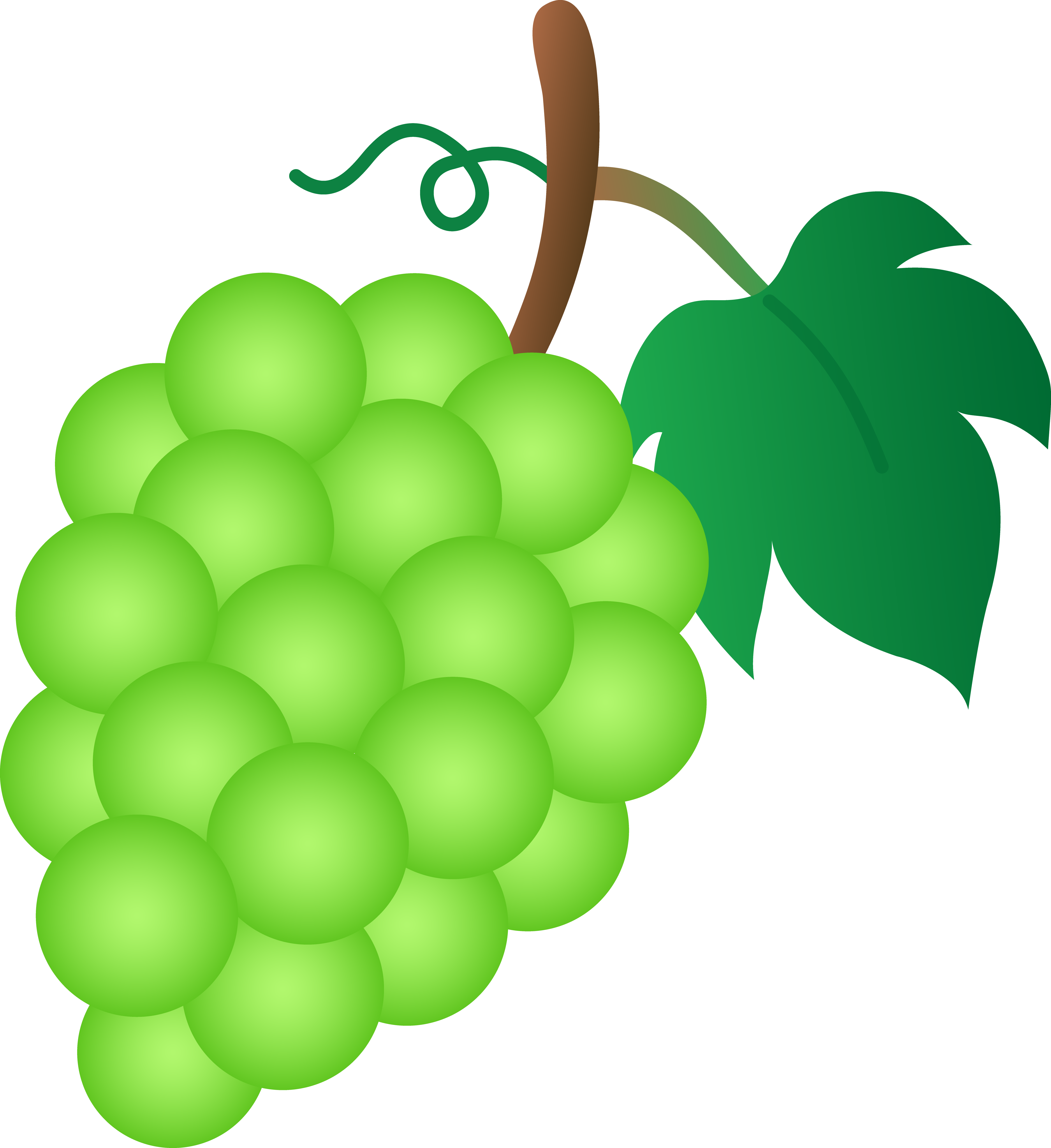 Grapes Clipart Free - Green Grapes Clipart (4801x5243)