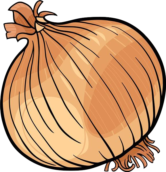Onion Vegetable Black And White Clip Art - Onion Cartoon Transparent (577x600)