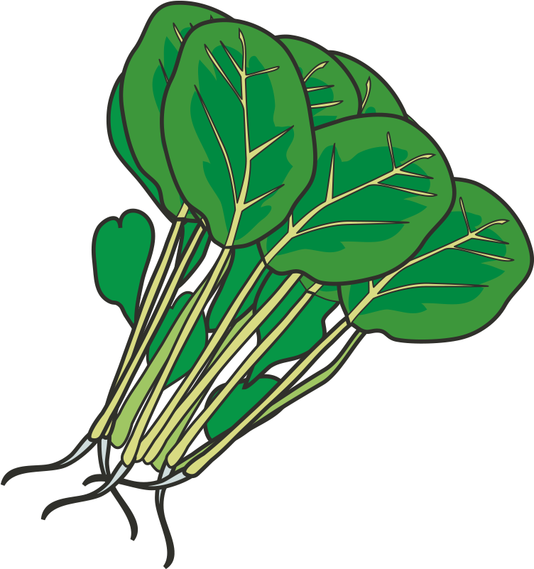 Hot Pot Leaf Vegetable Spinach Clip Art - Hot Pot Leaf Vegetable Spinach Clip Art (800x800)