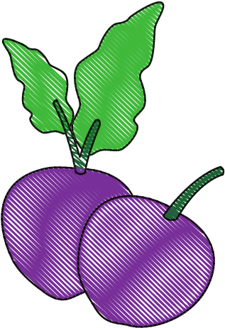 Beetroot Organic Natural Vegetable - Illustration (550x550)
