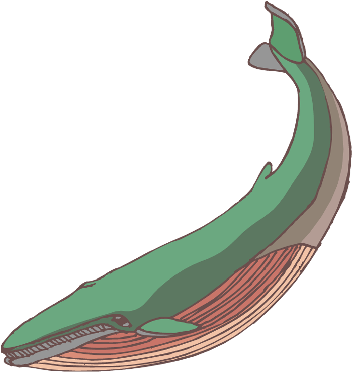 Baby Whale Clip Art Free Clipart Images - Whale Clipart (723x750)