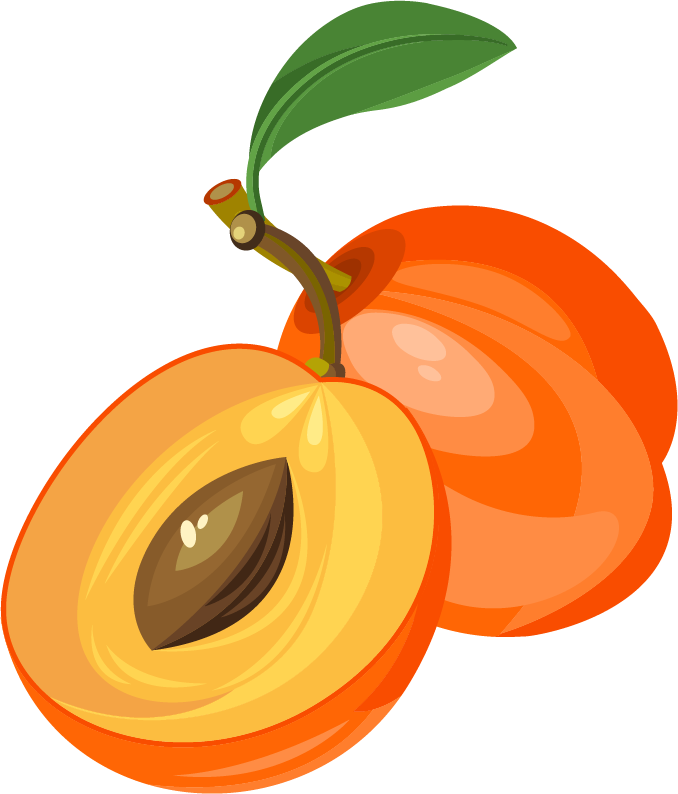 Euclidean Vector Fruit Clip Art - Fruit Png Clipart (678x794)