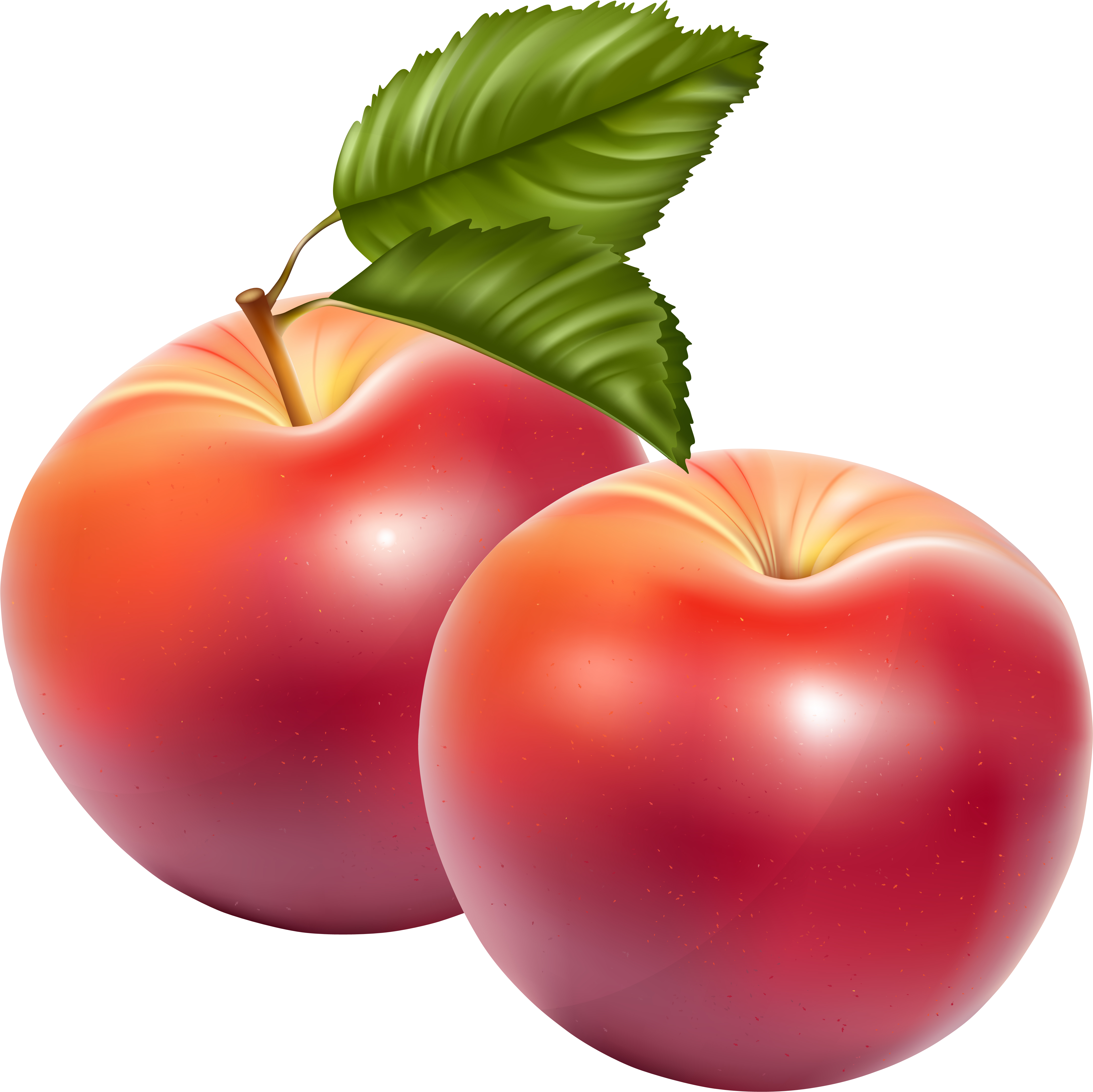 Apple Fruit Png Image - Free Clip Art Apples (4800x4742)