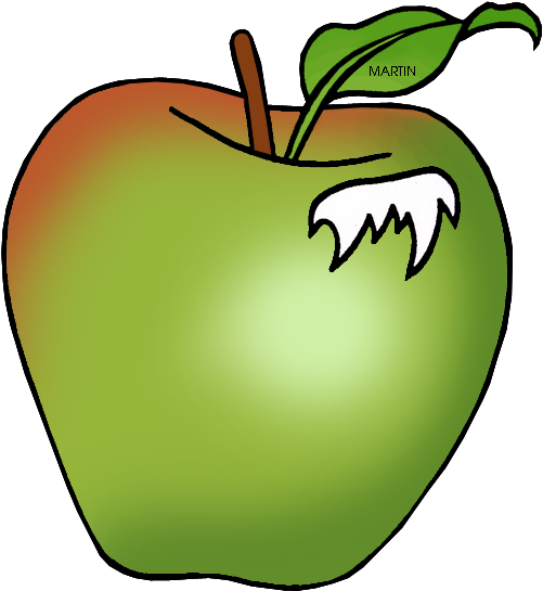 State Fruit Of Rhode Island - Rhode Island State Fruit (571x648)