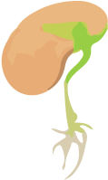 Tomato Other Vegetables (13%) Bean, Pea (12%) Lettuce, - Illustration (276x642)