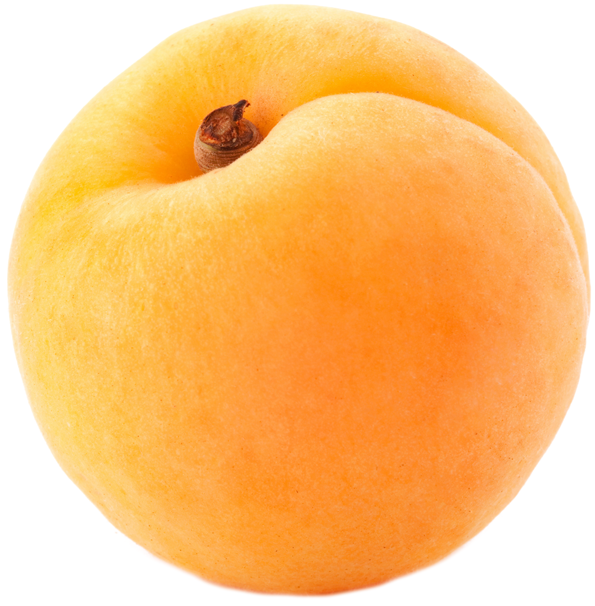 Large Apricot Png Clipart - Kayısı Png (2044x2079)