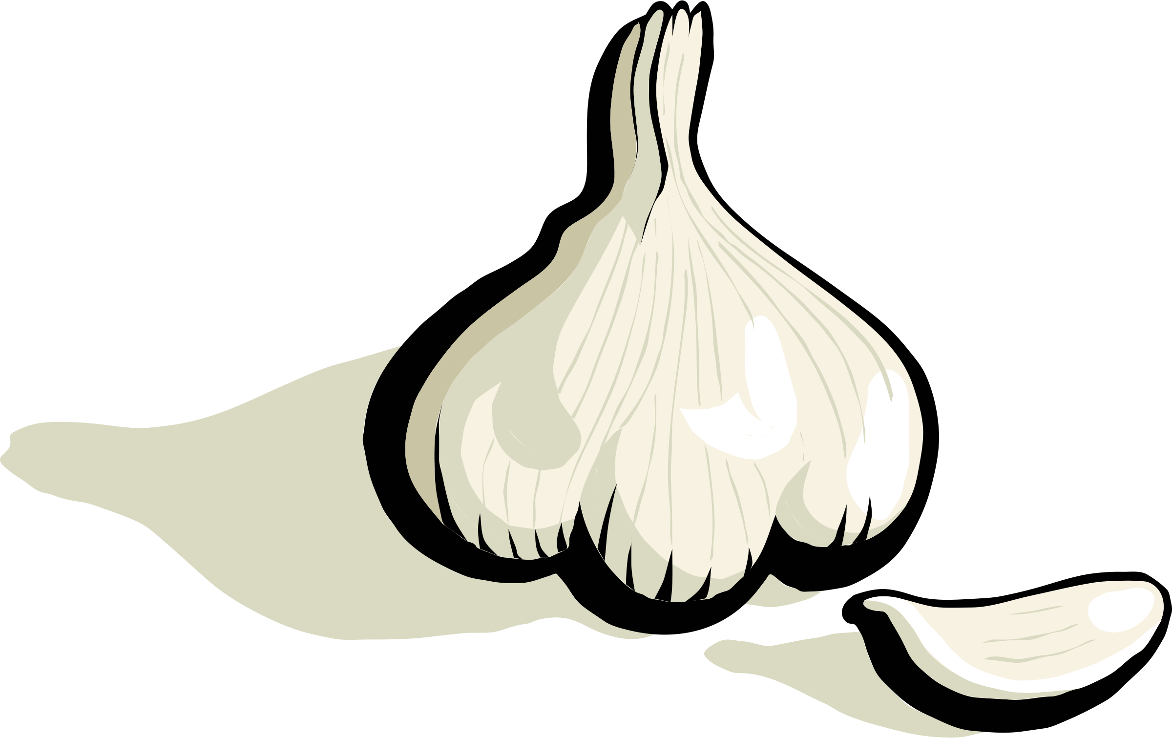 Garlic Clipart Png Picture - Garlic Clip Art (2400x1511)