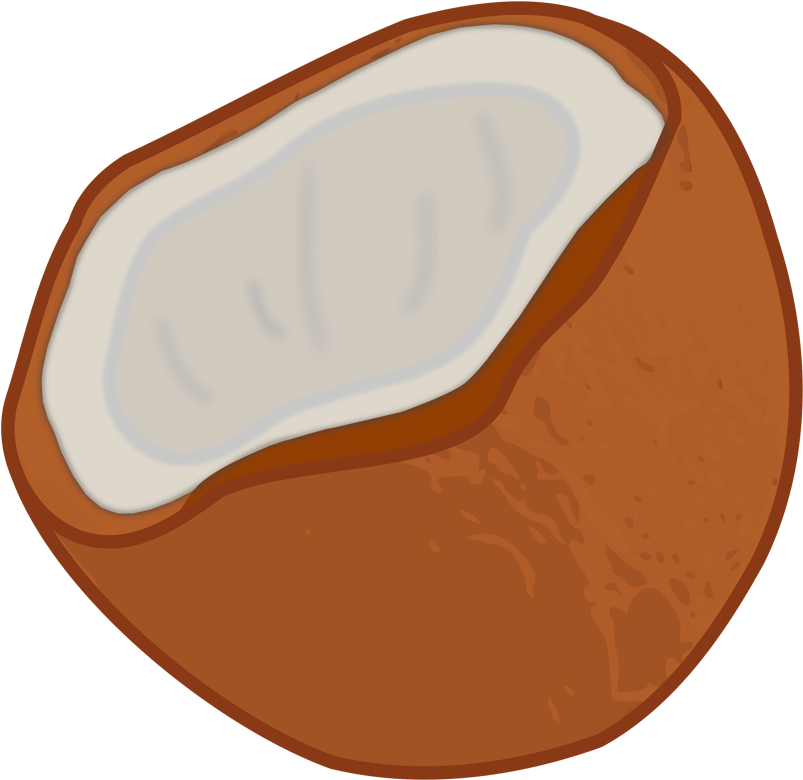 19 Free Shocking Coconut Clipart Fruit Names A Z With - Coconut (1280x800)