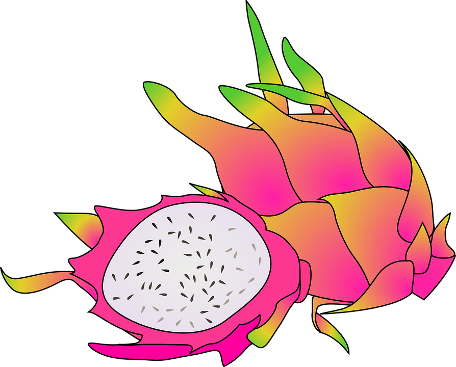 Dragon Fruit Cartoon Png (894x720)