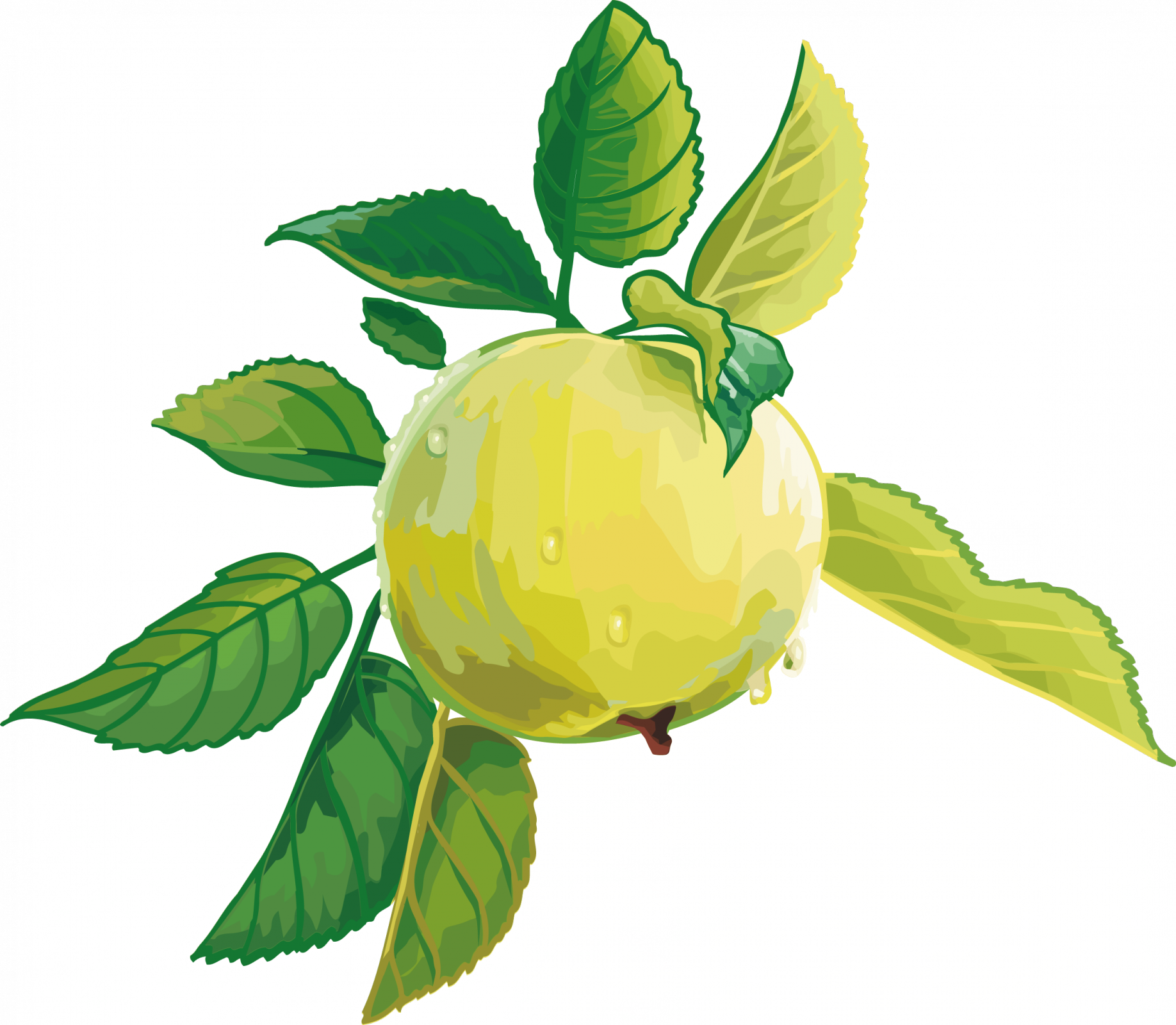 Render Fruit Vector Pomme Fruitsl Gumes Aliments Png - Vegetables And Fruit Render (1836x1600)