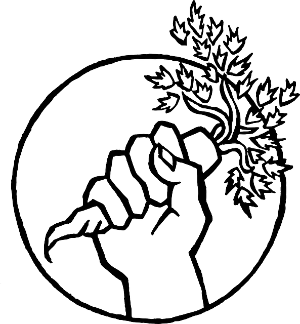 Carrot, Fist, Garden - Food Not Bombs Logo (593x640)