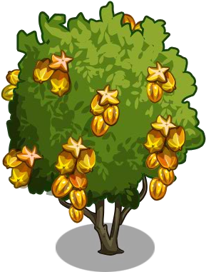 Golden Starfruit Tree2-icon - Illustration (300x400)