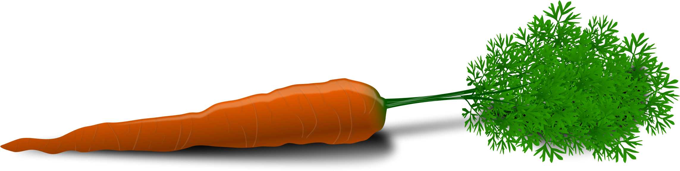 Free Carrot - Carrot Clip Art (2400x712)