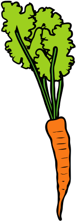 File - Carotte - Svg - Wikimedia Commons (268x501)